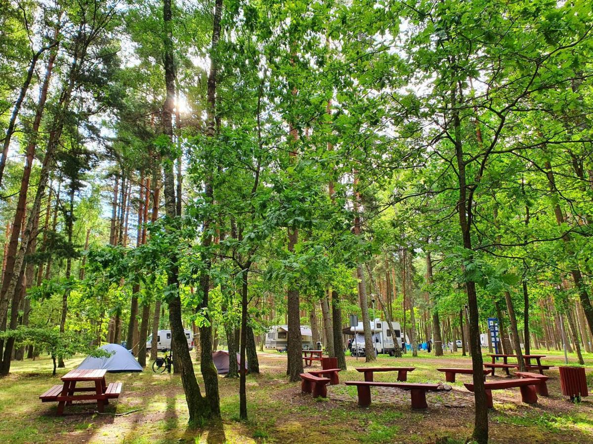 Pajurio Kempingas Hotel Klaipeda Luaran gambar